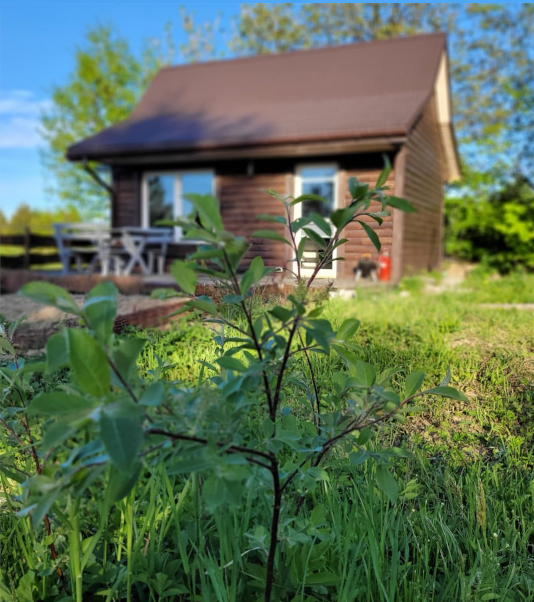 domek w bieszczadach